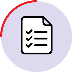 icon with a document with ticks